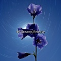47 Dreams Release
