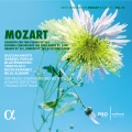 thomas zehetmair、Bilal Alnemr - Rondo for Violin and Orchestra in B-Flat Major, KV 269