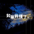 王娜 - 如果我懂了