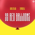 Chris Deelay、topmodelz - 99 Red Balloons