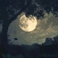 Peaceful Music Sessions、Relaxing Music Moments、Peaceful Soundscapes - Lights Dim Peace Calls