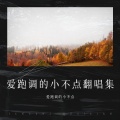 爱跑调的小不点 - 有形的翅膀