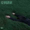 陈保才 - 若月亮没有来