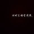 朝竹 - 故人依旧