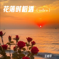 王晗宇 - 几度花落时