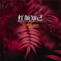 唐尼 - 红颜知己