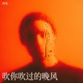阿乐 - 吹你吹过的晚风