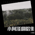 小阿漾 - 你在，不在