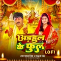 Adahul Ke Phool (Lofi)