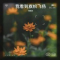 我看到旗帜飞扬