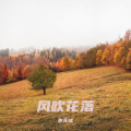也无忧 - 当离别开出花