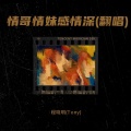 情哥情妹感情深(翻唱)