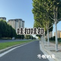 冬眠的兔 - 哇扣哇扣