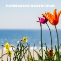 Morning Sunshine