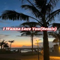 I Wanna Love You (Remix)