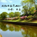 万莉 - 桃红水绿肖山村