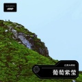 江苏大师兄 - 柿子火红