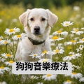 狗狗音樂療法-平靜的旋律、抗壓力的音樂、舒緩狗狗過度刺激的聲音