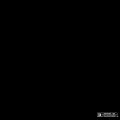 Boldy - 7788