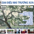 Giai dieu mai truong xua