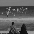 大大怪将军