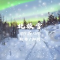 知何、转转z - 北极雪