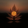 Ascend - Golden Leaf