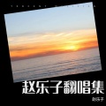 赵乐子 - 锣戏