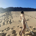 想做你的妲己 - 皇家礼炮
