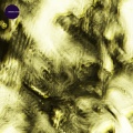 Schuerfes - Interceptor