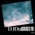 探故知 (DJ Du remix)