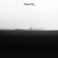 Take Fly