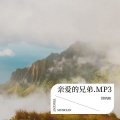 铁明周 - 岁月悄悄的走.MP3
