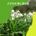 自然の音と音楽 - 非常にリラックス, 環境音チャンネル 環境音チャンネル