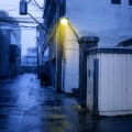 비오는날, 가로등에 기대어 (Rainy day, leaning against a streetlight)