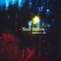 Soul Below (我的身体里有一条河)