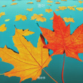 周诗萍 - 落叶