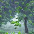 周诗萍 - 雨季