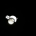 hairtail - 她