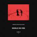 World on Fire