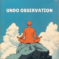 Undo Observation