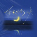 王雨尘 - 你像风来了又走