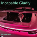 Incapable Gladly