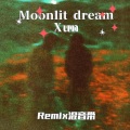 Moonlit dream (Remix混音带)