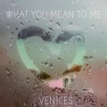Venices - What you mean to me