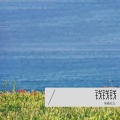 笑看红尘、华容 - 钱钱钱