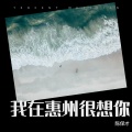 陈保才 - 我在惠州很想你