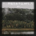 唐华山 - 熊猫的憨态.MP3