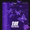 秦澈ShinCheol - 紫蝴蝶
