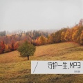 刘先瑞 - 春风.MP3